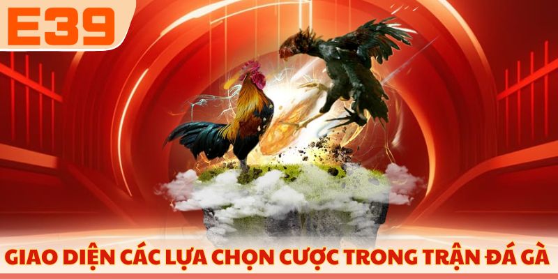 Giao diện các lựa chọn cược trong trận đá gà 
