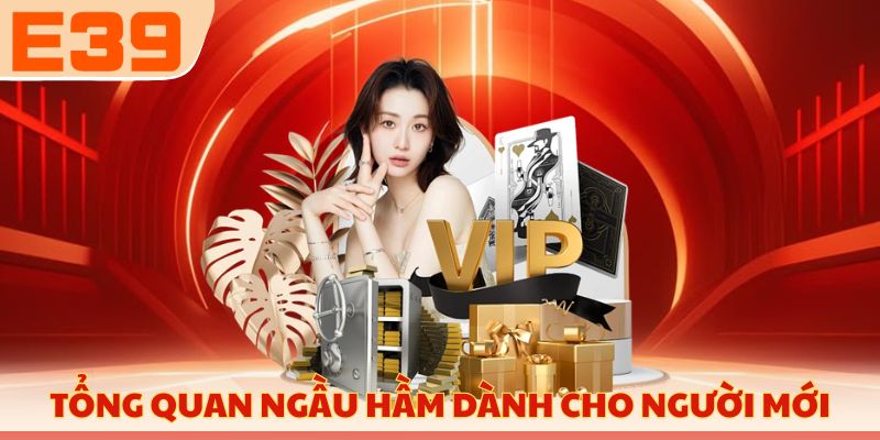 Tổng quan Ngầu Hầm dành cho người mới